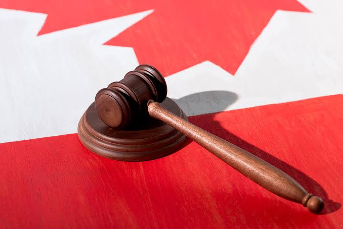 Immigration legal representation