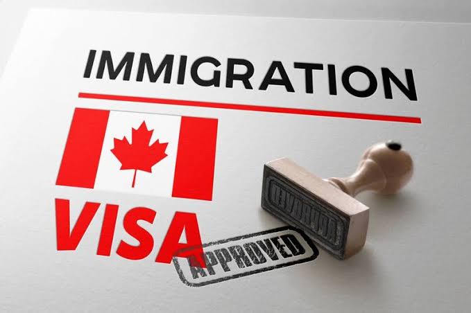 Immigration legal consultation
